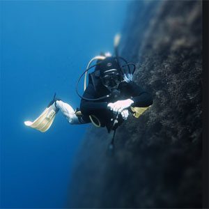 gozo diving site
