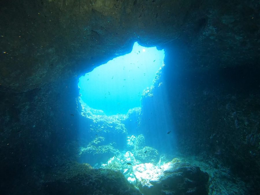 diving in gozo